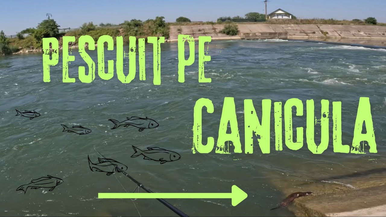 Pescuit la spinning pe canicula pesti mofturosi🔥🔥🐟🎣