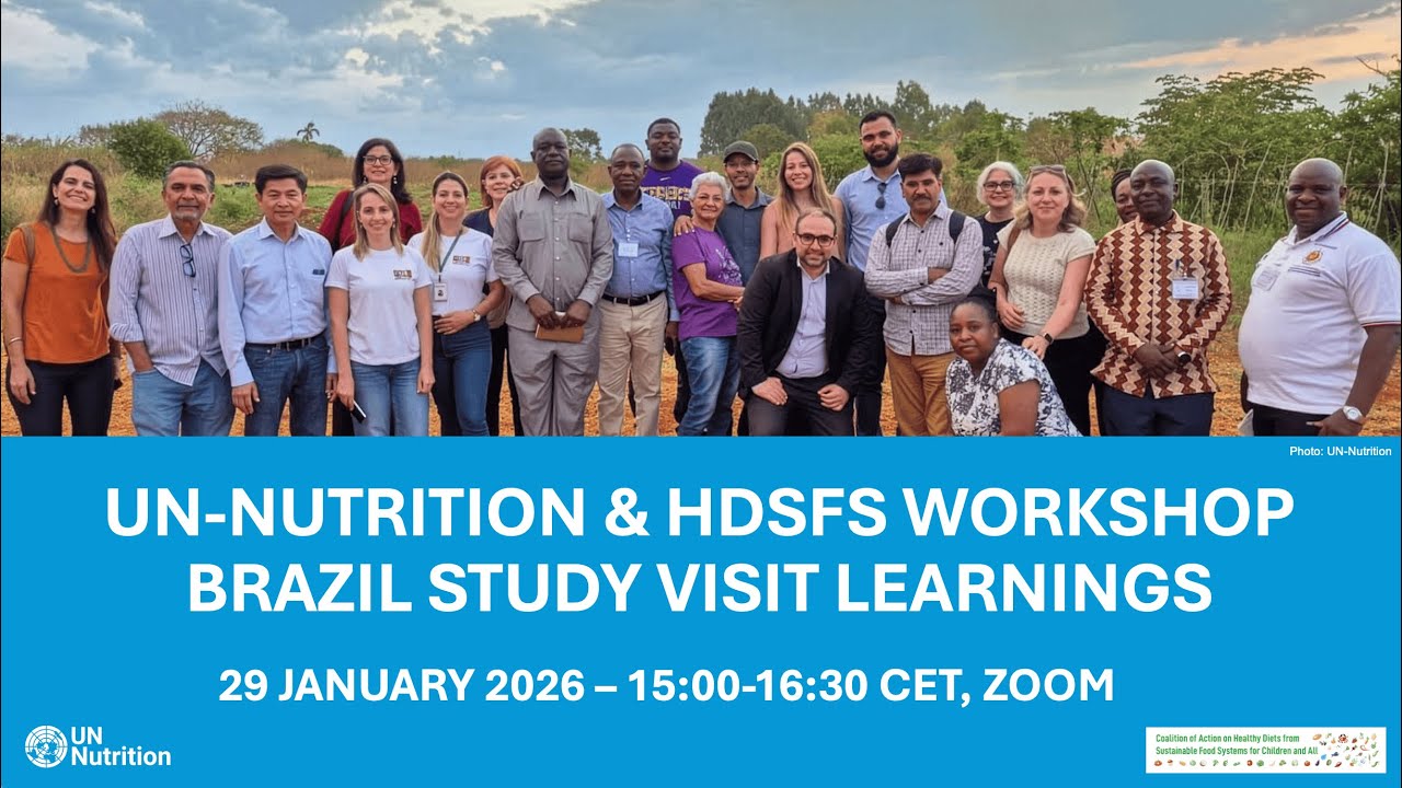 Workshop - UN Nutrition & Healthy Diets Coalition Workshop on Brazil Study Visit Learnings