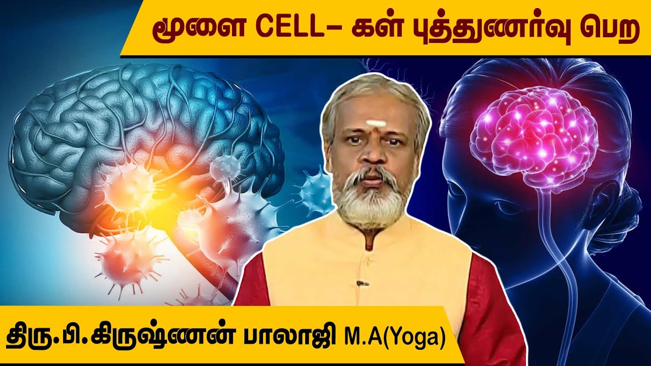 மூளை Cells நன்றாக இயங்கினால் இவ்வளவு நன்மைகளா? பாருங்கள்  l Krishnan Balaji l @MEGA TV ​