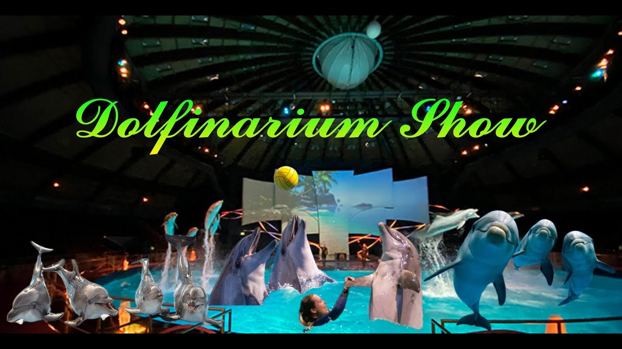 Dolfinarium Harderwijk Show // Dolfinarium Oceanica - Netherlands