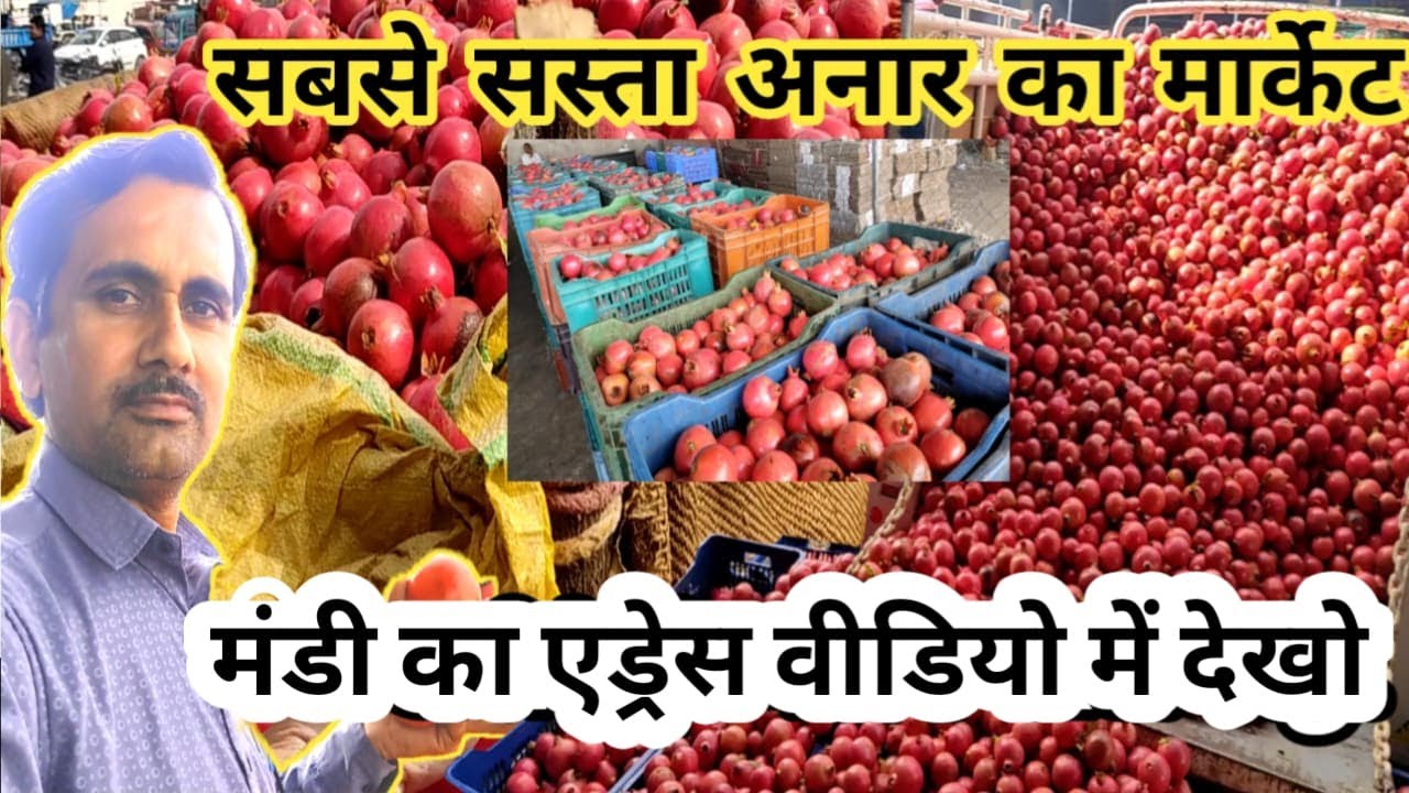 सबसे बड़ी अनार की मंडी | Anar ka wholesale market in Tharad | Pomegranate market |
