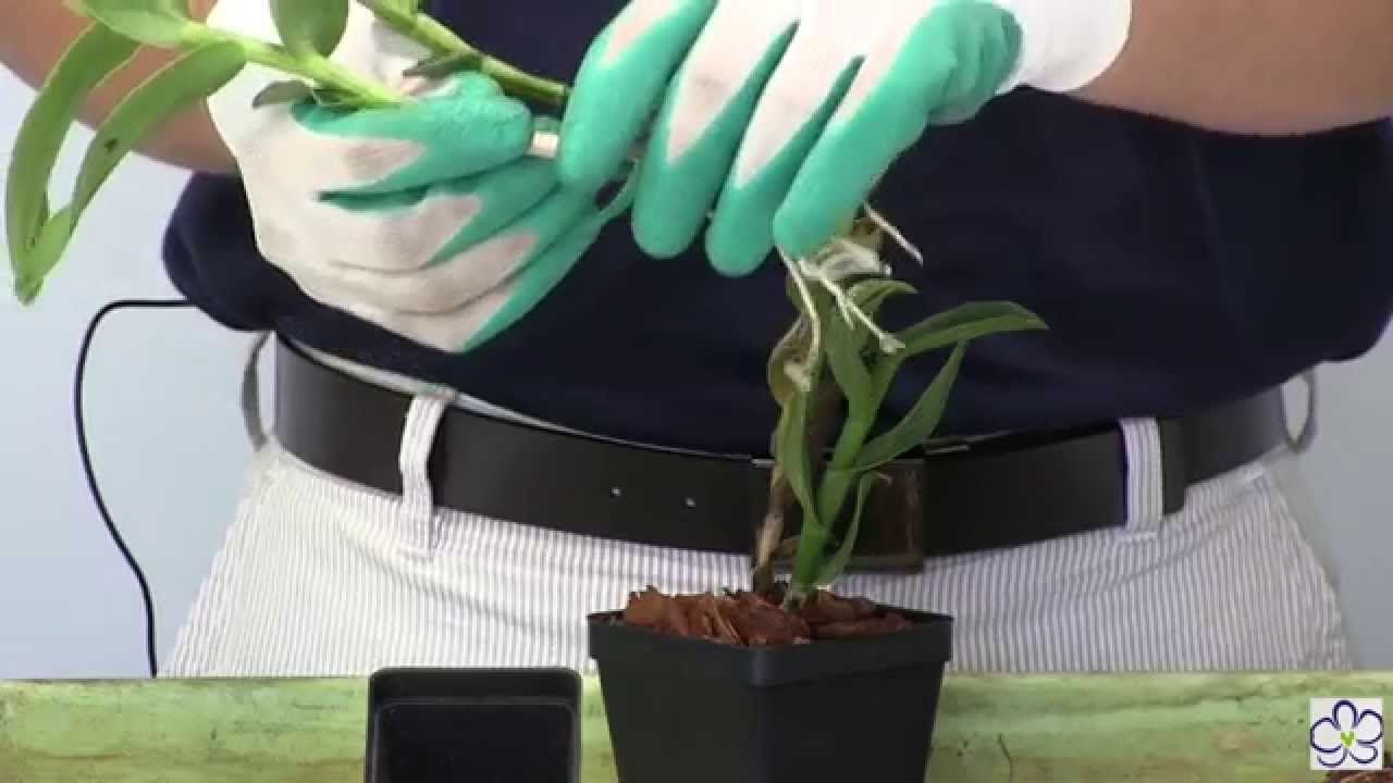 How to Identify and Propagate a Keiki