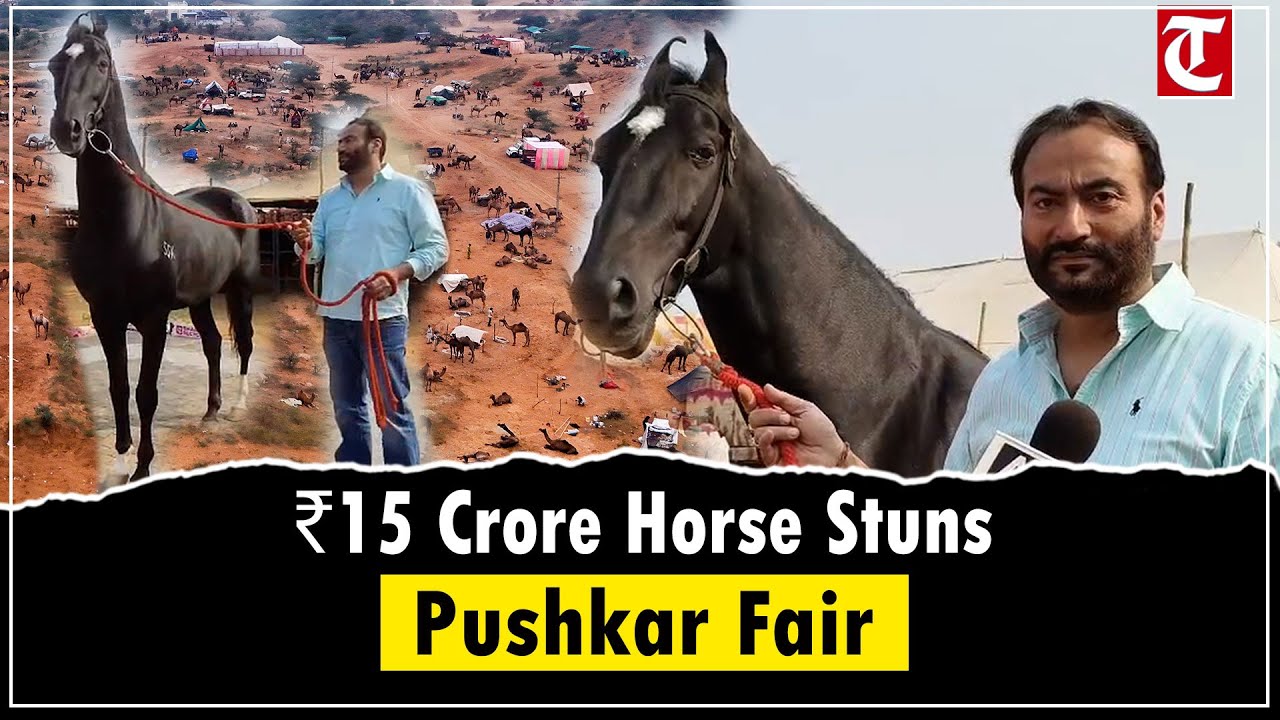 ₹15 Crore Horse ‘Shahbaz’ Turns Heads at Pushkar Fair | Owner Gary Gill Reveals Record Offers