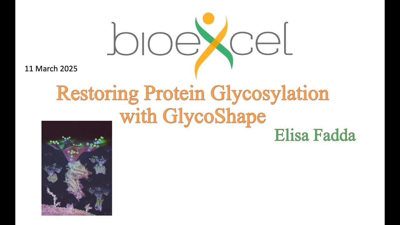 Bioexcel webinar #83 Restoring Protein Glycosylation with GlycoShape