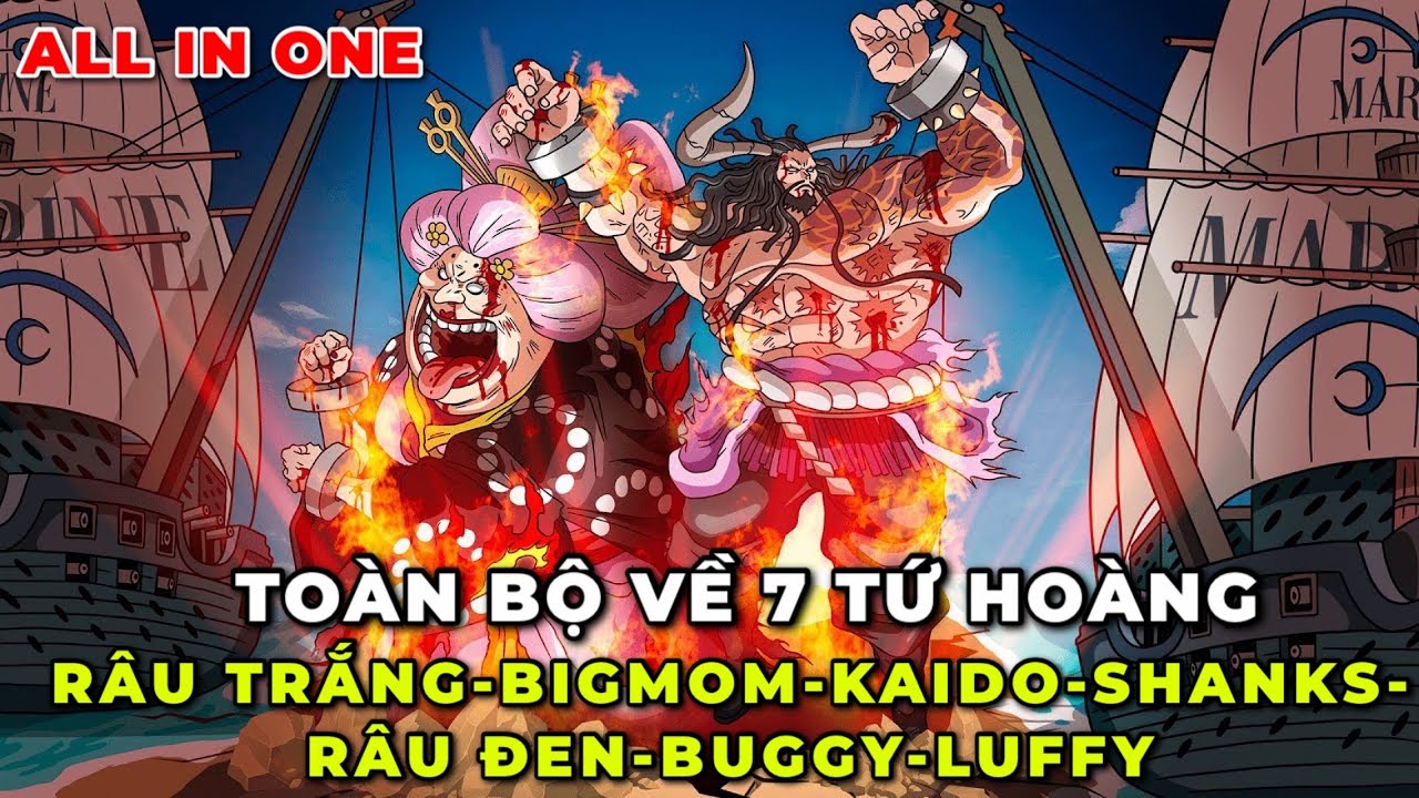 TOÀN BỘ VỀ 7 TỨ HOÀNG I QUÁ KHỨ VÀ MỐI LIÊN KẾT GIỮA RÂU TRẮNG-BIGMOM-KAIDO-SHANKS-BUGGY-LUFFY