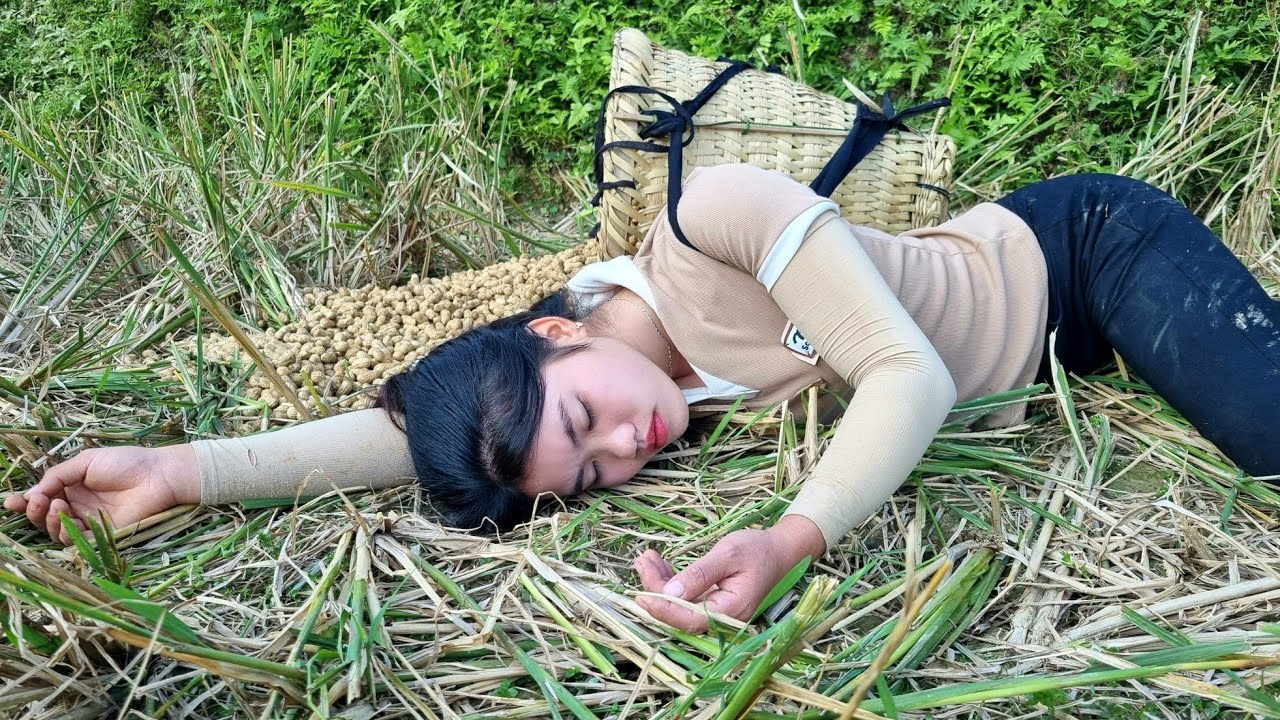 Harvesting Peanuts and Slipping and falling on the way home - Taking care of the Vegetable garden