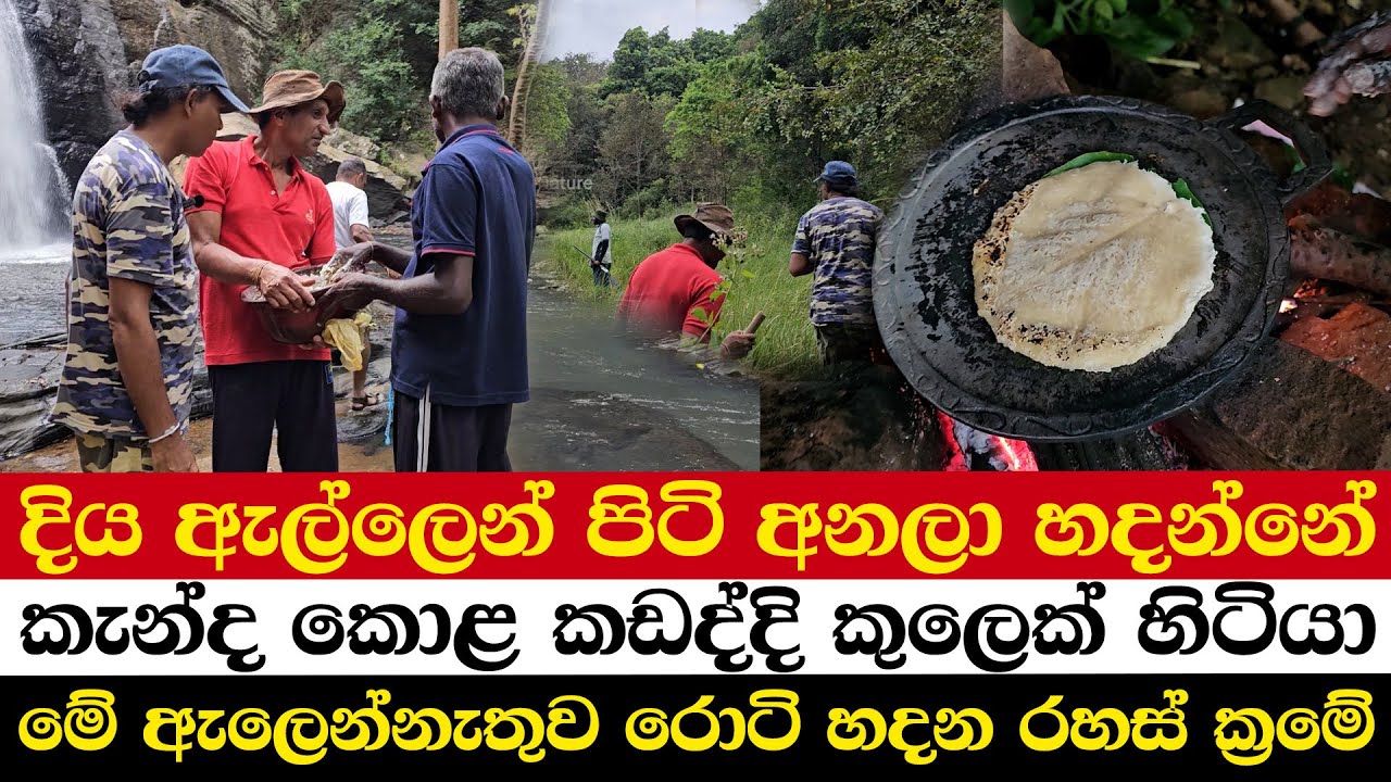 දිය ඇල්ලෙන් පිටි අනලා හදන්නේ | කැන්ද කොළ කඩද්දි කුලෙක් හිටියා | මේ ඇලෙන්නැතුව රොටි හදන රහස් ක්‍රමේ