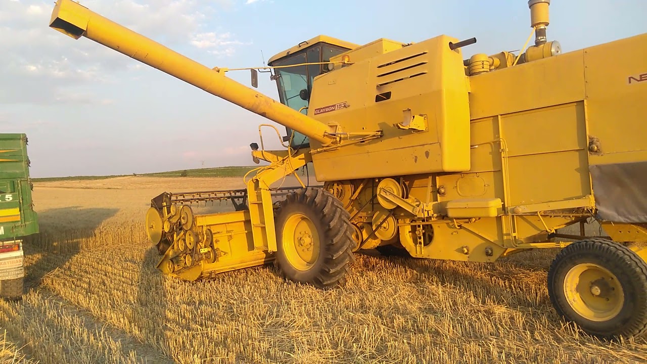 Clayson 1530 İle Delabrad Cinsi Buğday Biçimi 2021 Harman