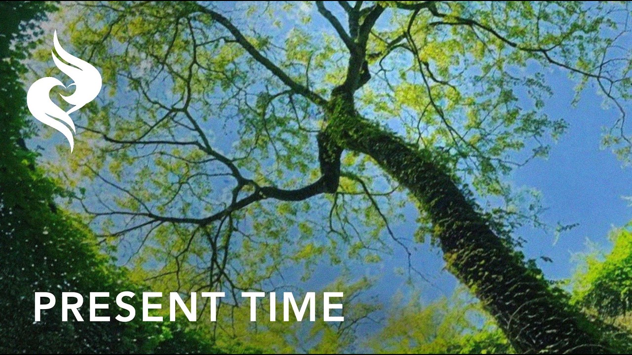 How You Change Your Reality