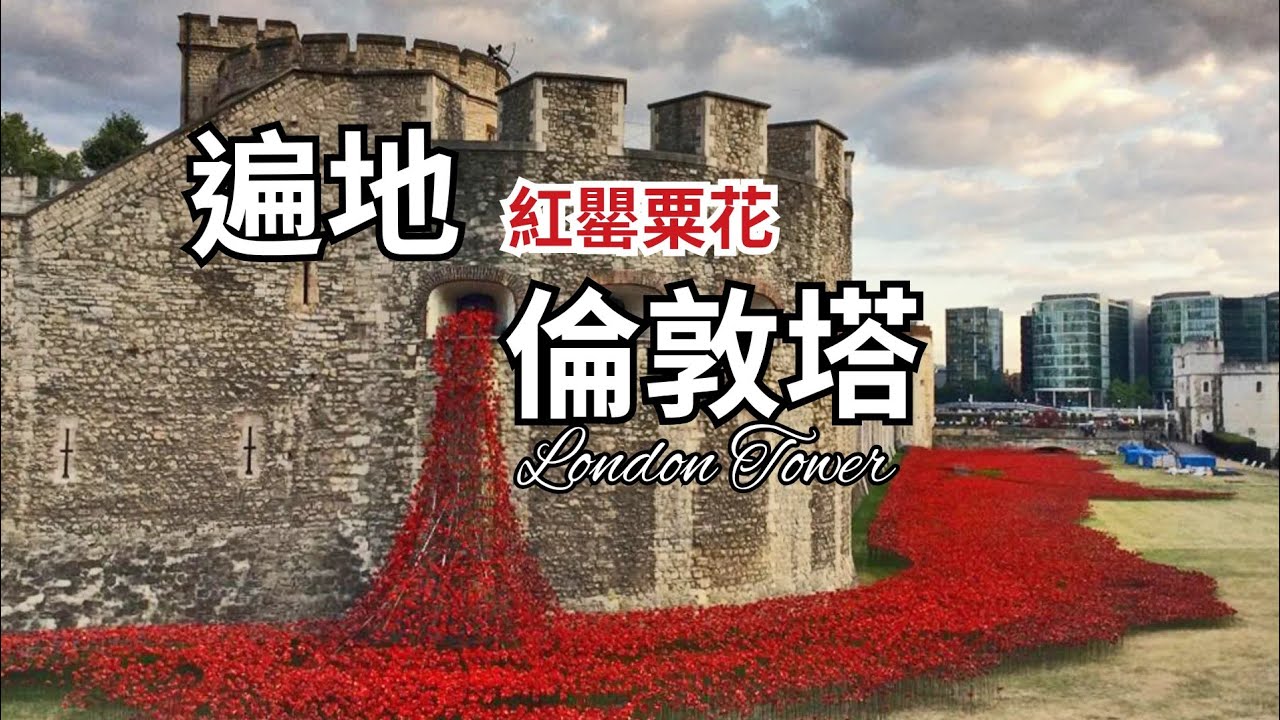 「上官鑒南」正在直播！開箱倫敦塔旁非常震撼的罌粟花海 | London Tower&Red Poppy| 泰晤士河夜跑 | 聊聊黃仁勳兆元宴邀請的供應鏈成員|到底是NVIDIA的客戶還是供應商?