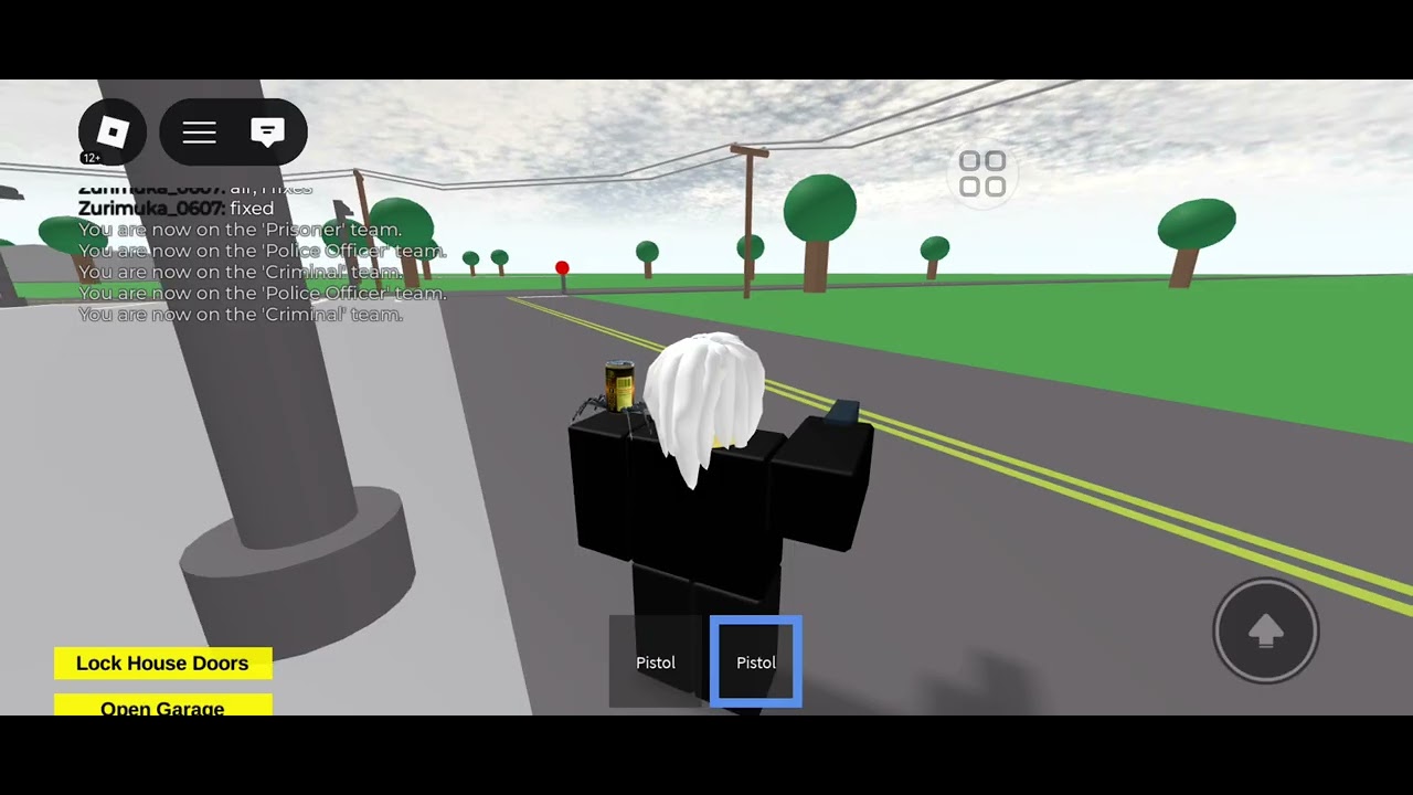 Welcome_to_the_town_of_roblox_city.mp4