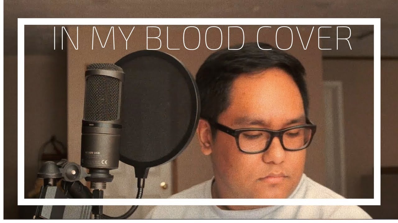 Shawn Mendes - In My Blood (Cover by Raymond Salgado)