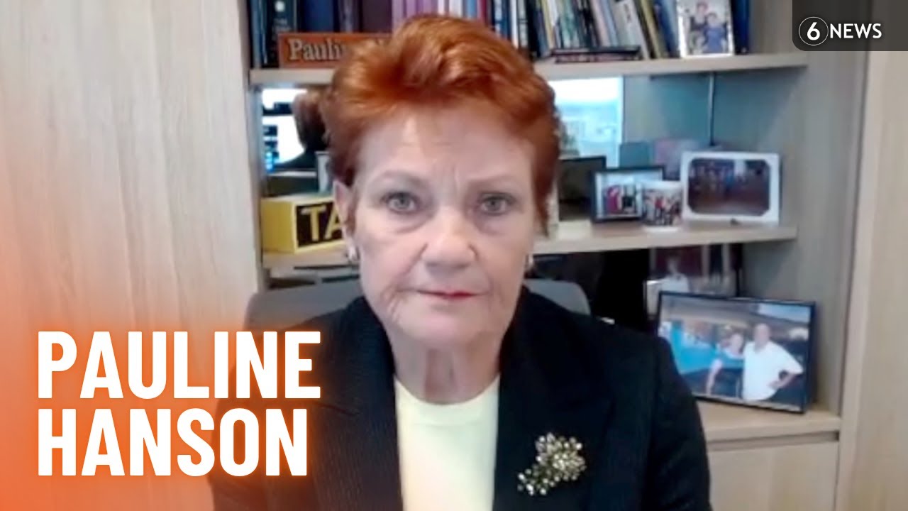 Pauline Hanson reveals re-election plans and hits out at party defectors