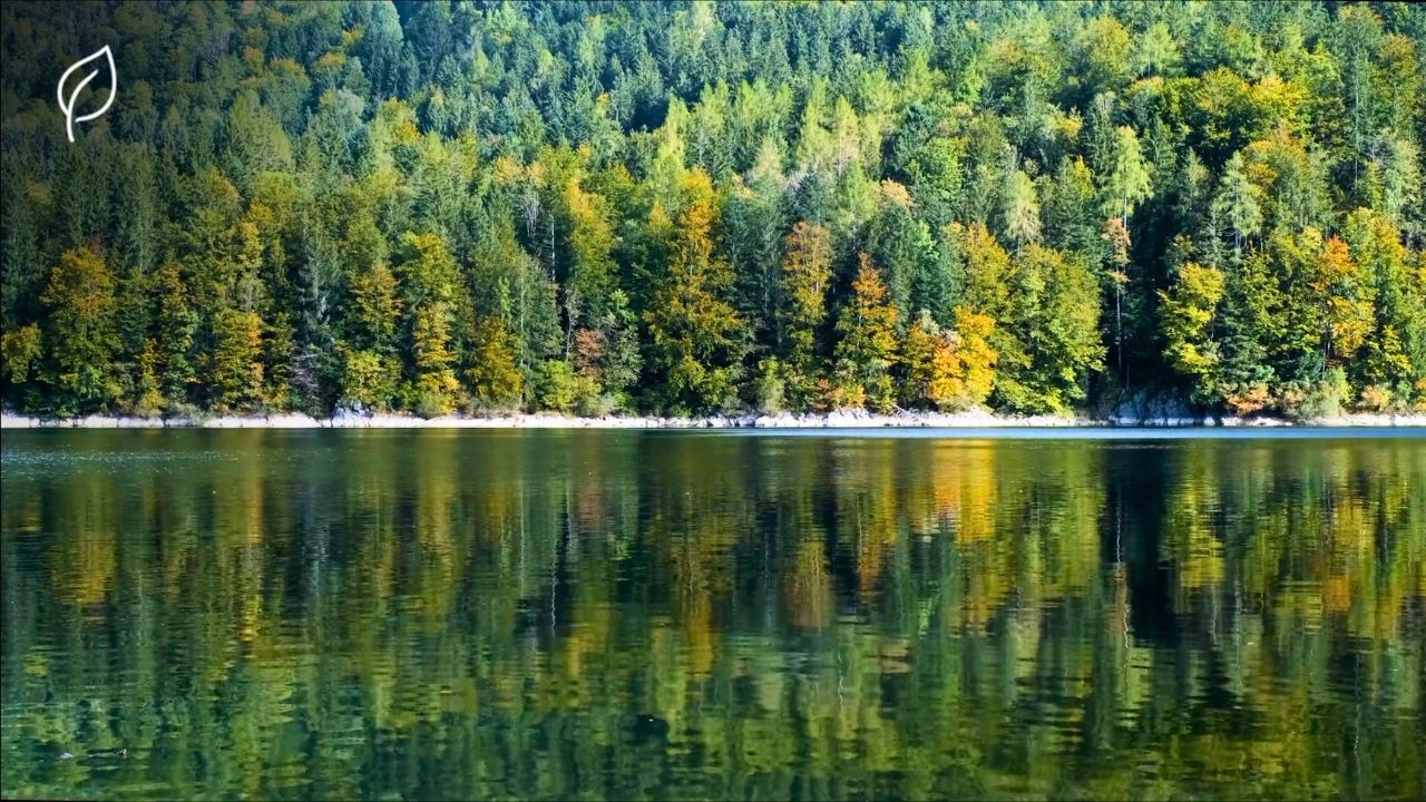 Quiet Mind | 30 Minute Deep Meditation for Calm Mind and Relaxation