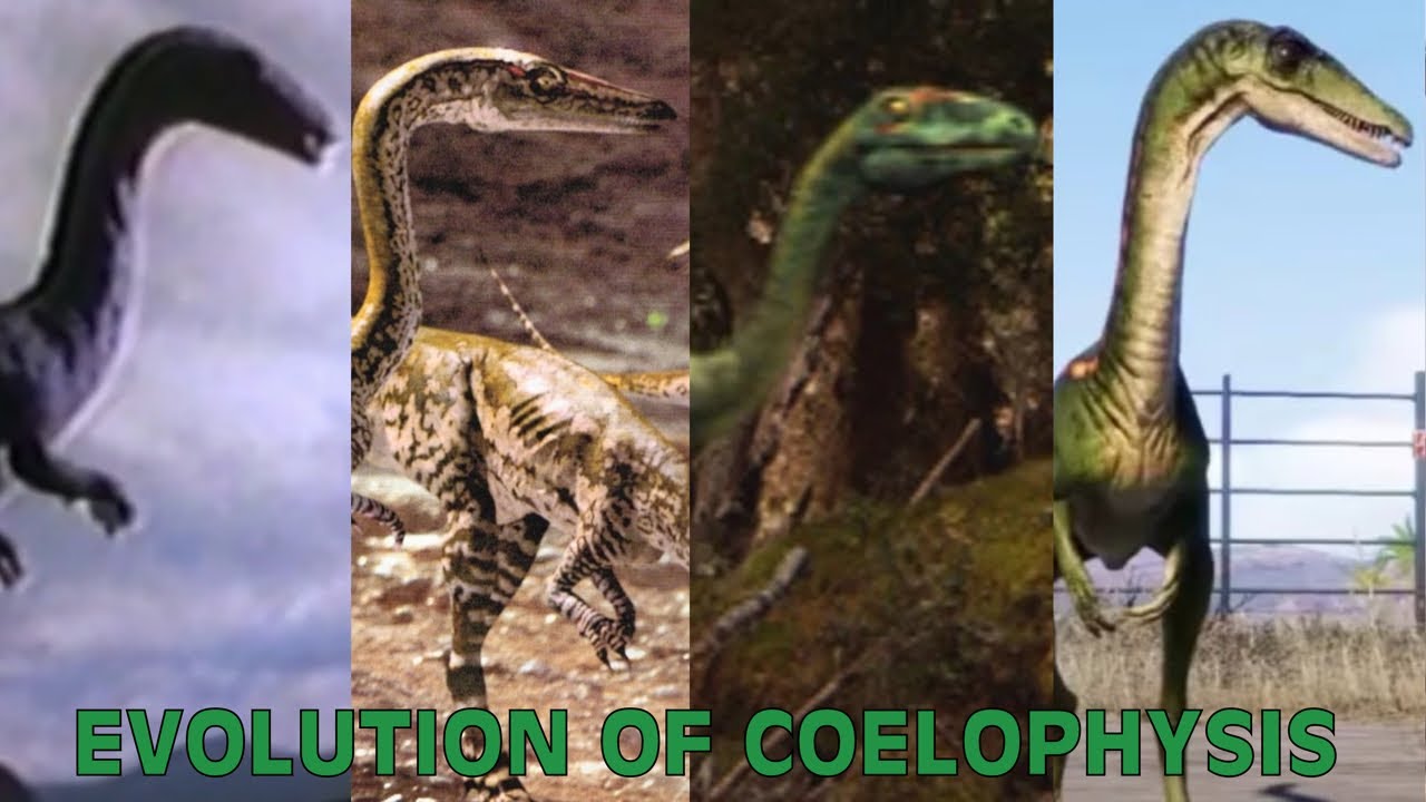 Evolution Of Coelophysis In Movies, TV Shows, Games, & Paleo Media (FT. Syntarsus & Rioarribasaurus)