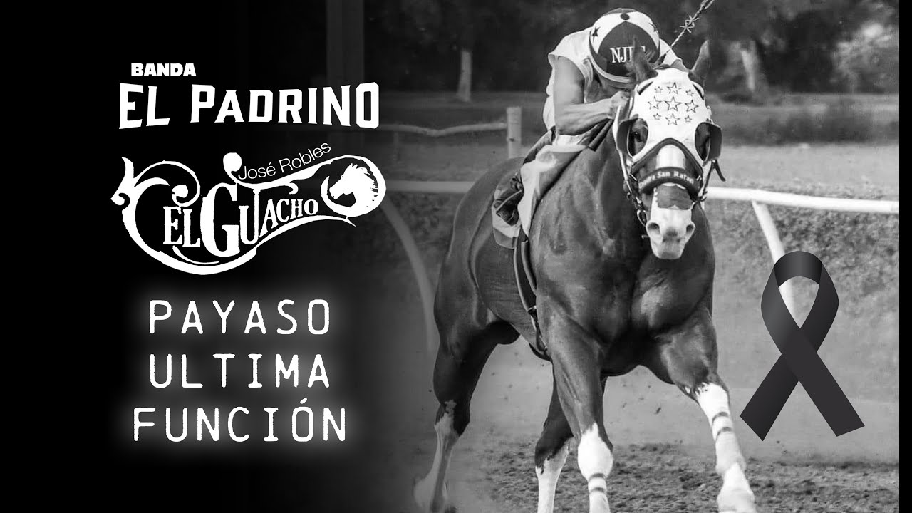 Payaso Ultima Función - José Robles 