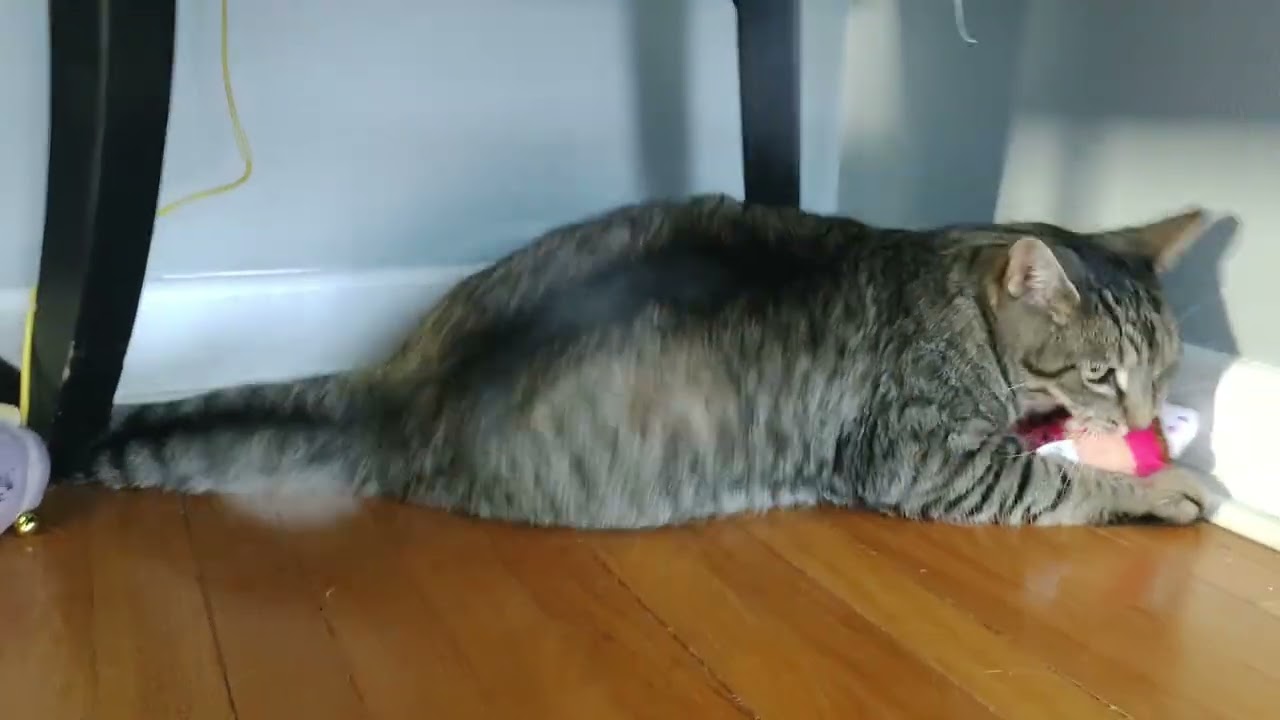 play time