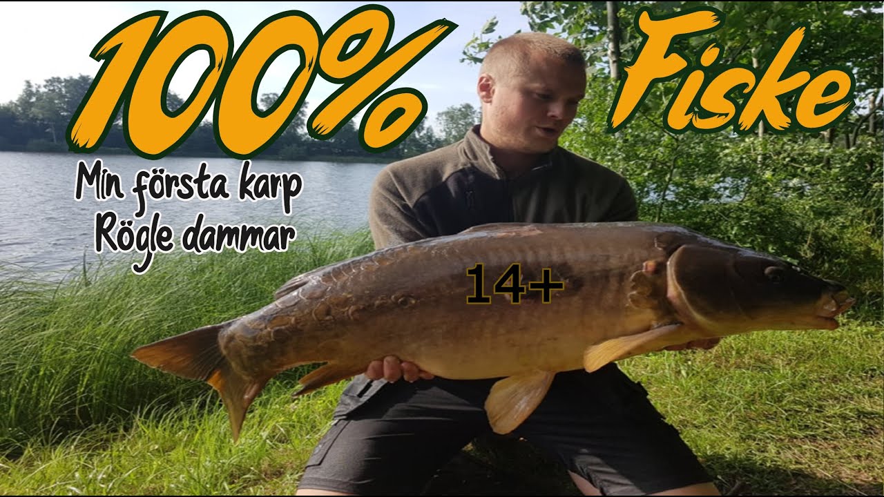 Min första karp någonsin 14kg+ [100%FISKE]