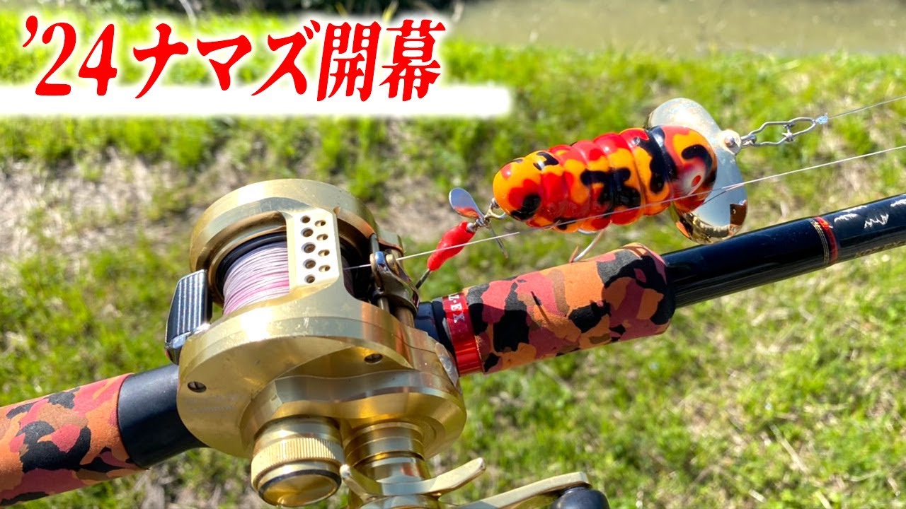 【春のナマズ釣り】桜並木の下で、巨大ナマズを追う！