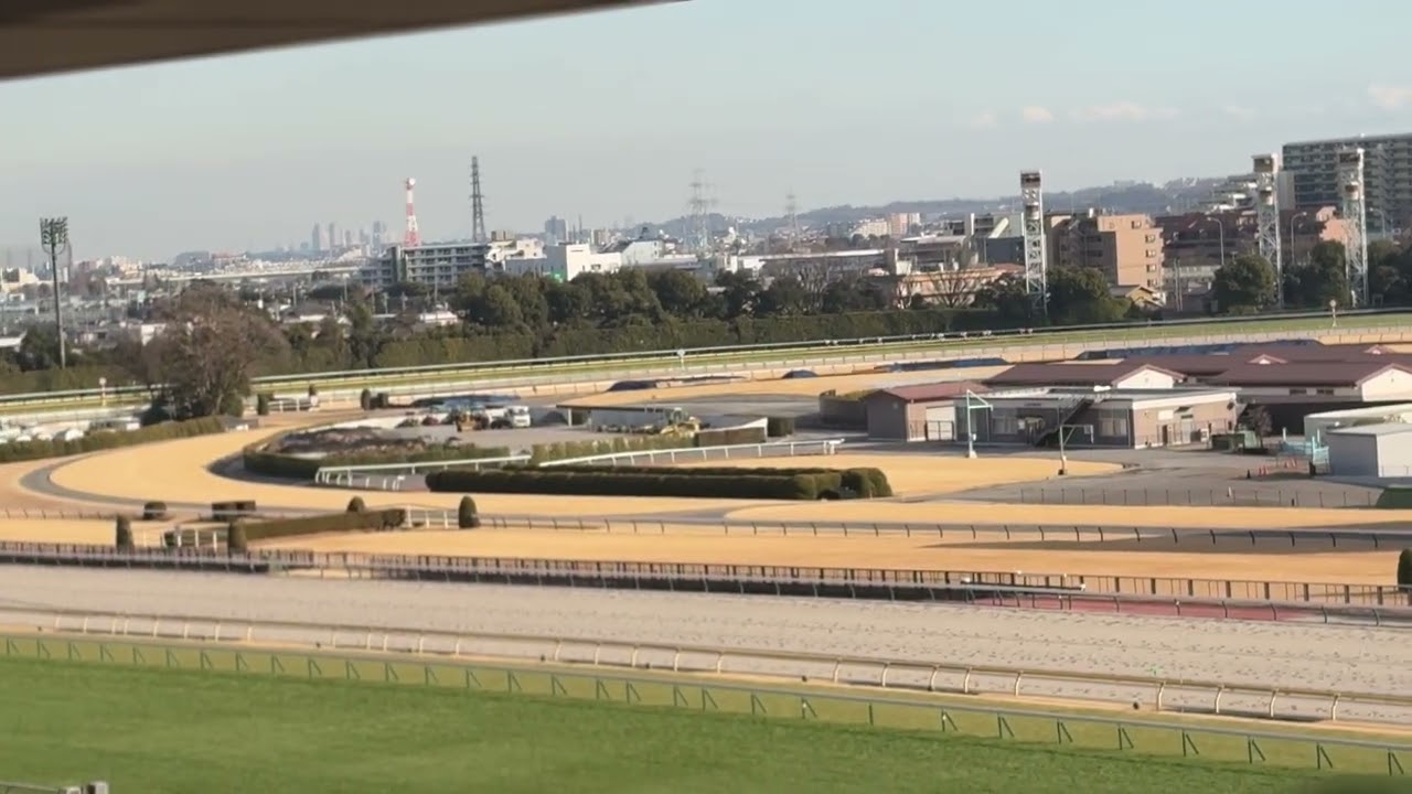 2026年2月1日 東京競馬場 東京10R 節分ステークス #東京競馬場 #競馬場 #競馬 #ウイントワイライト 