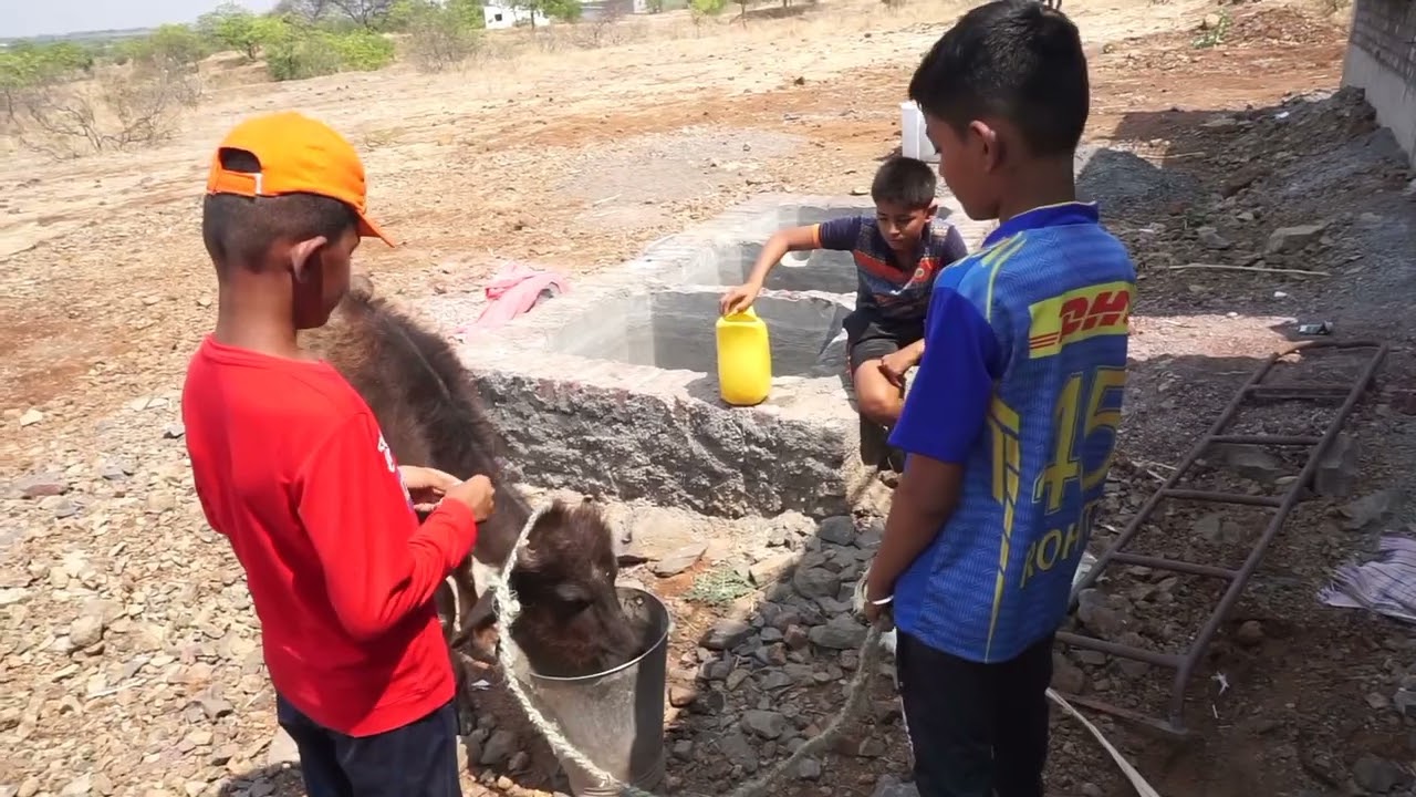 गावठी पोरं 