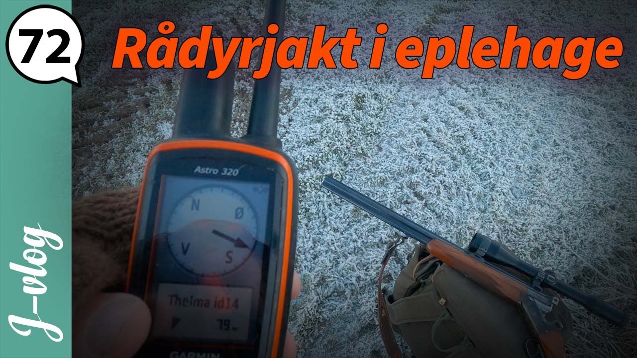 Rådyrjakt i eplehage | Jaktvlog 72