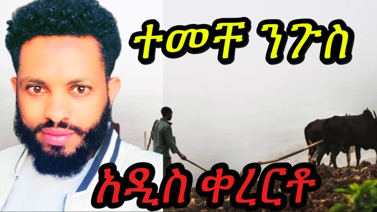ተመቸ ንጉስ-እኔ ሞኙ -Ene mognu-Temeche Nigussie-New kererto -Nee ethiopian Music