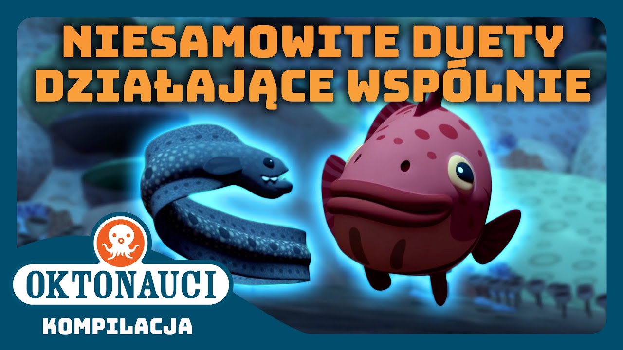 Oktonauci - 🦭 Niesamowite duety działające wspólnie 🦭 | Kompilacja | Całe odcinki