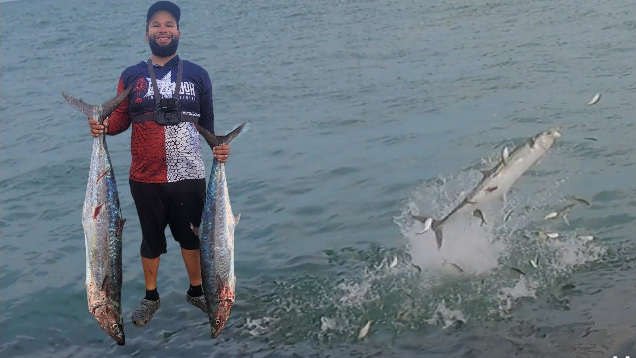A Jetty Fishermans Dream(Multi Species MAYHEM)*GIANT KINGFISH FLYING, Packery Channel Jetties
