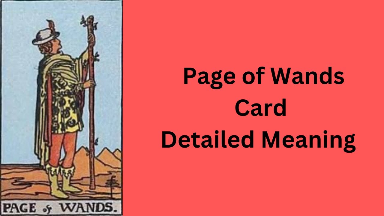 Page of Wands — Tarot Card Meaning  || Minor Arcana || Learn Tarot With Nidhi