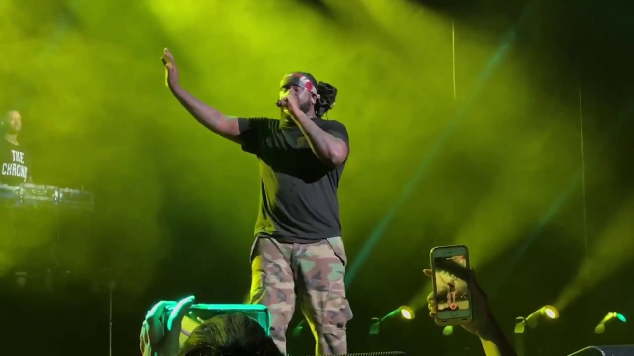 T-Pain - Best Love Song (Illinois State University)