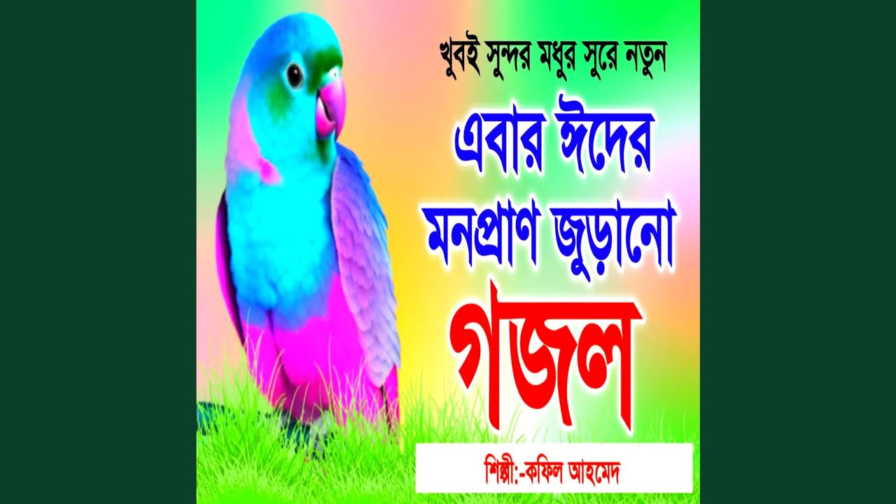 Elo Khusir Eid