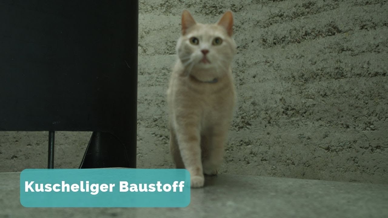 So lebt es sich im Lehmhaus Haus aus Lehm – Alter Baustoff, neu entdeckt: Hausbau