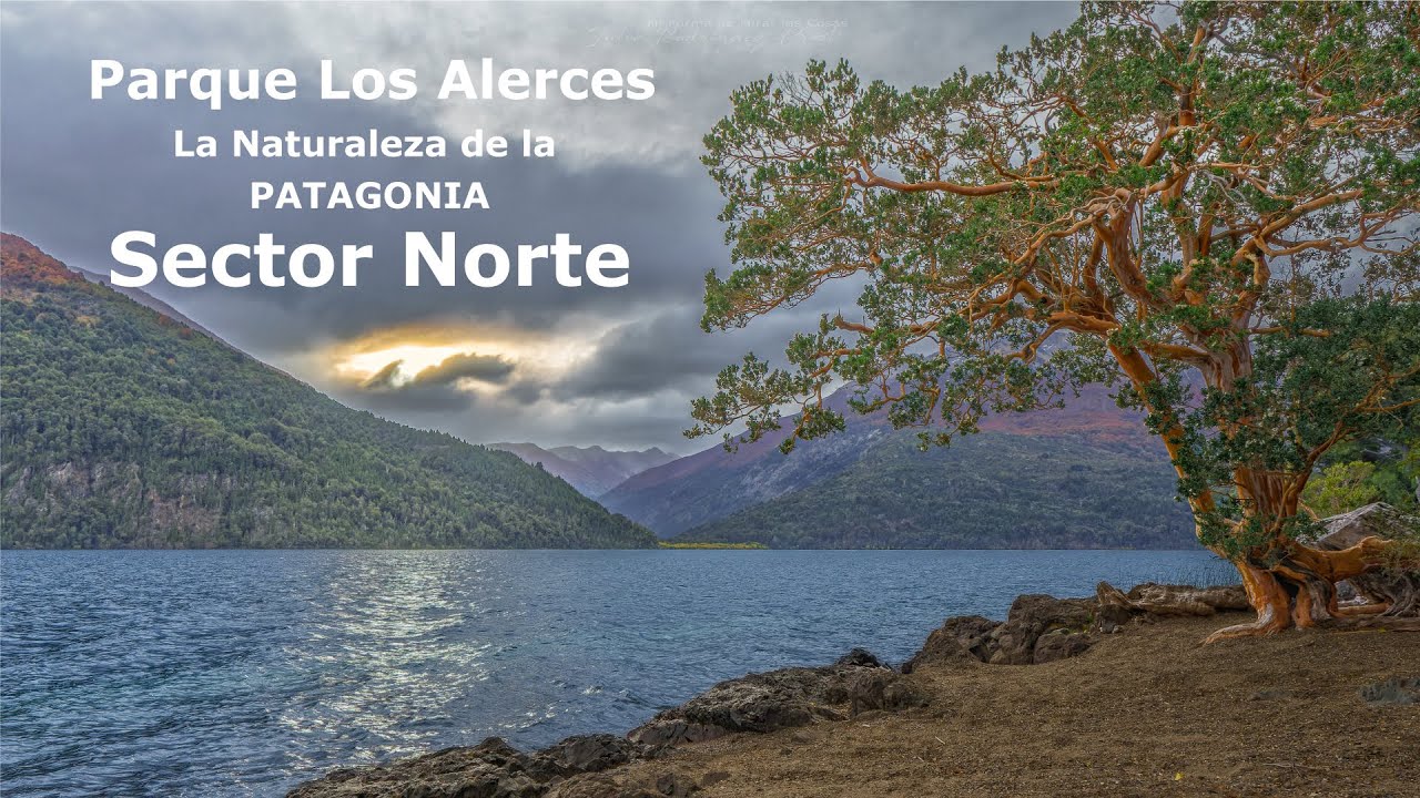 Parque Los Alerces NORTE - Desde lago Epuyen hasta lago Rivadavia - Naturaleza de la Patagonia 2023