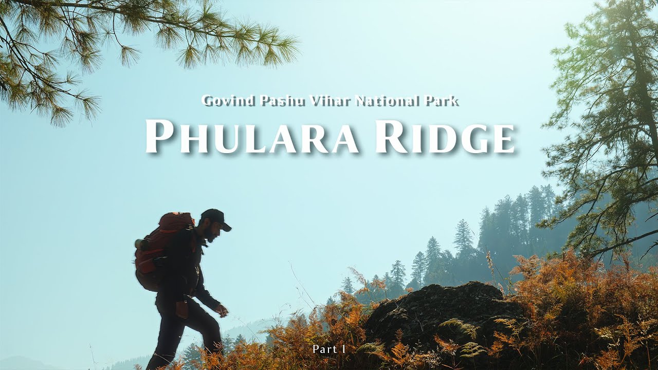 Phulara Ridge | Silent Hiking in GPV National Park for 4 Days -  Part 1 (4K)