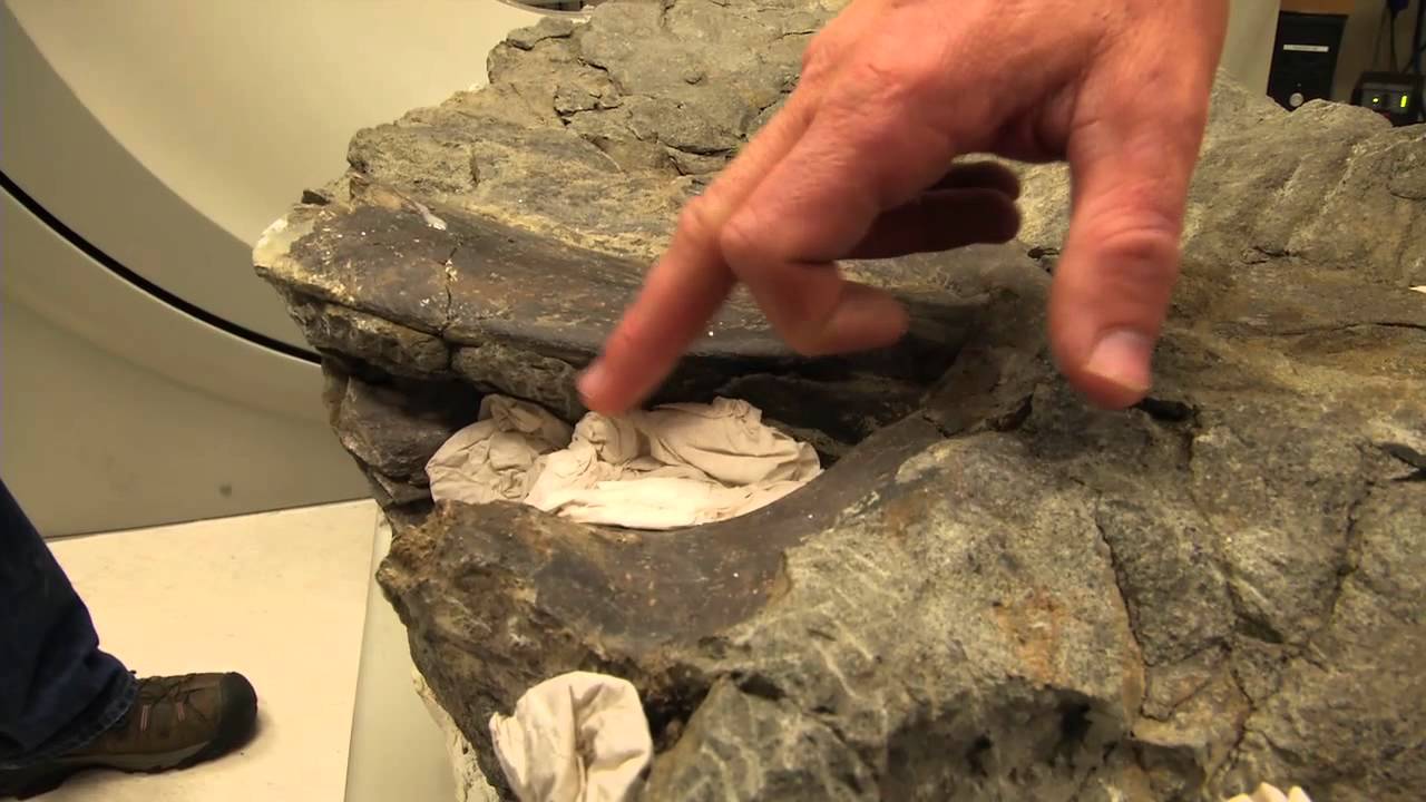 Peering inside a dinosaur mummy