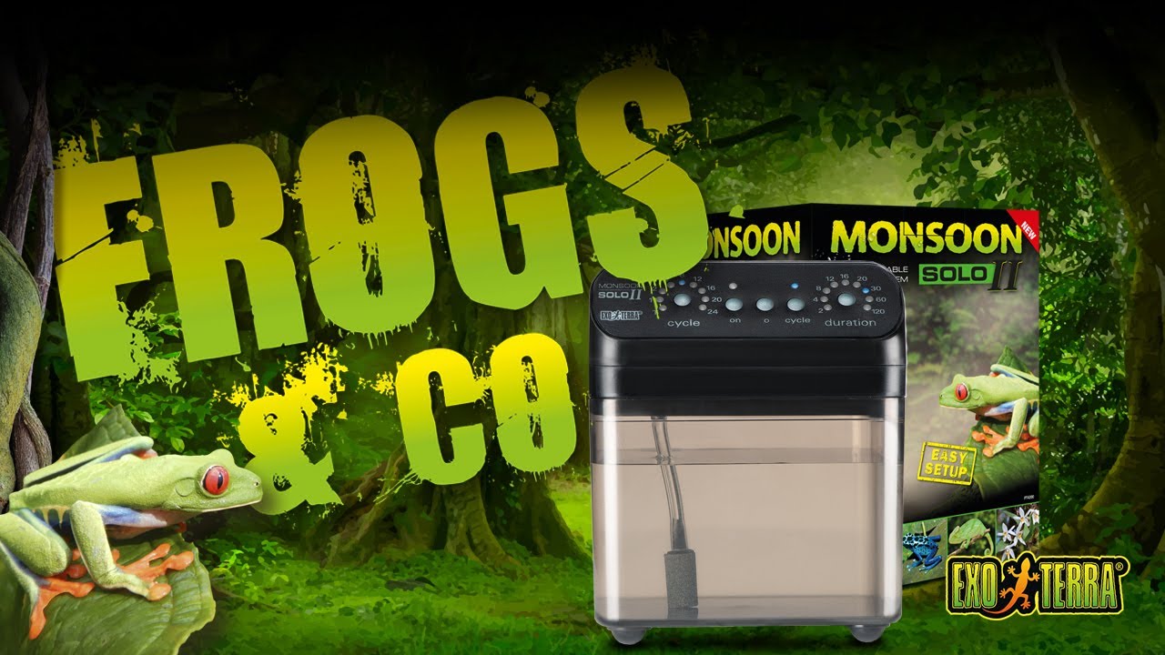 Exo Terra Frogs & Co - Monsoons