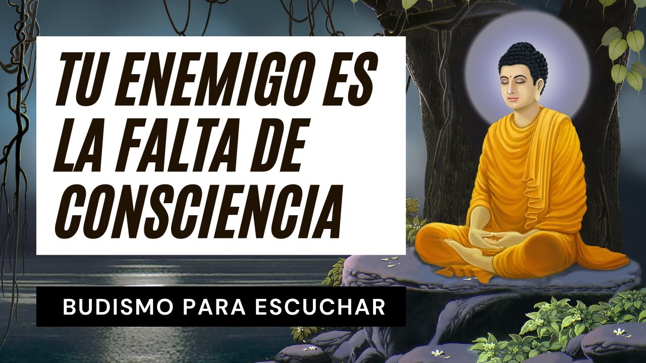 ☸️ El Primer Paso para un Meditador Principiante: Aprende a Abrir y Cerrar Tus Ventanas Sensoriales