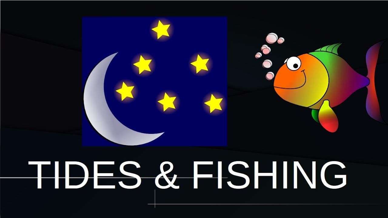 Fishing and Tides