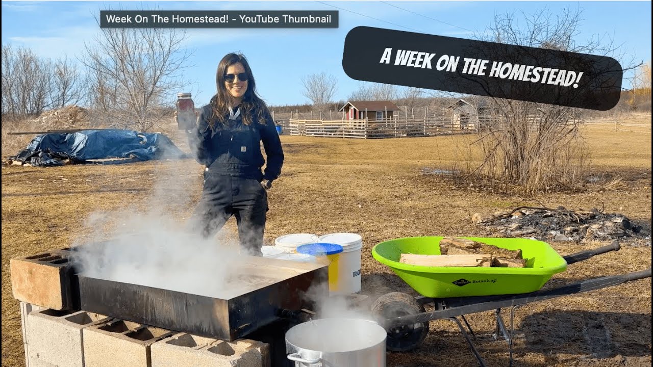 A Week On The Homestead | Making Maple Syrup