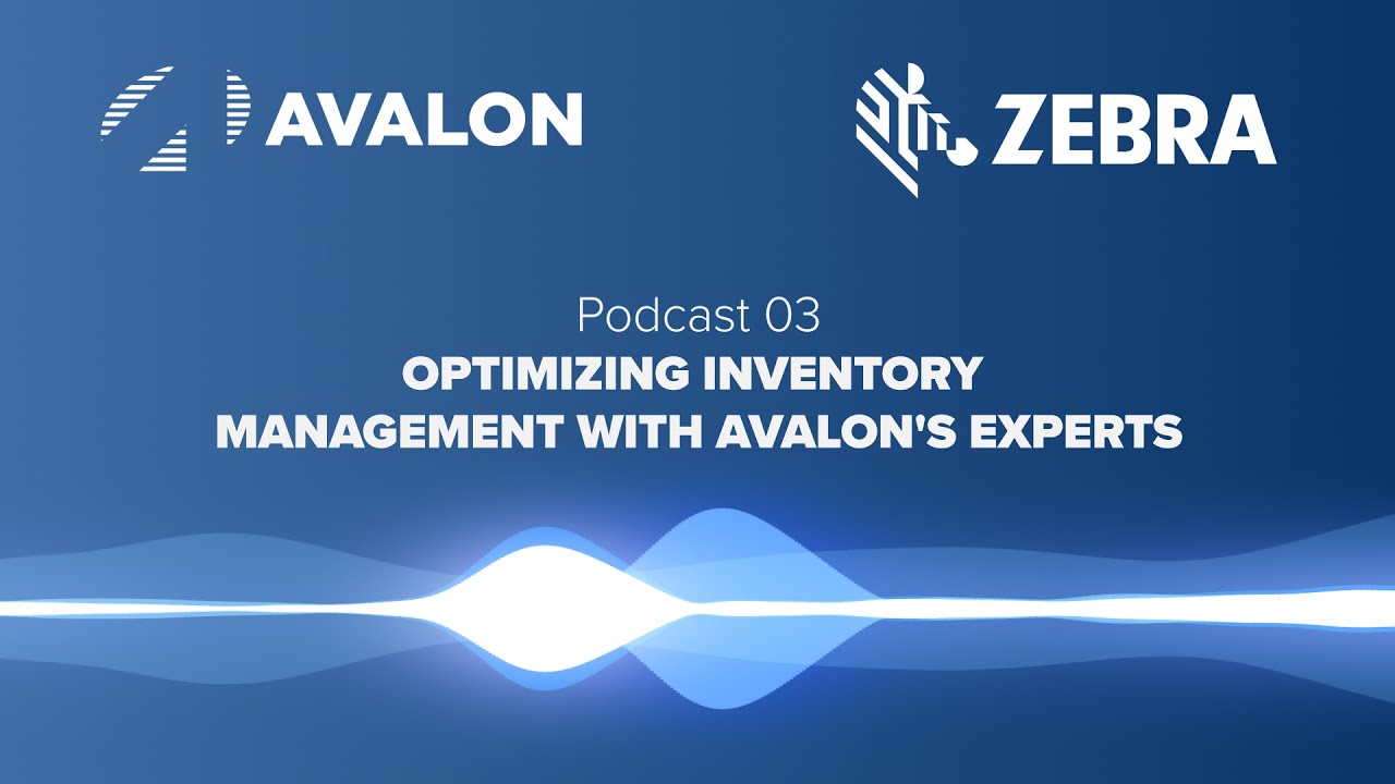 Podcast 03 - Optimizing Inventory Management with Avalon's Experts