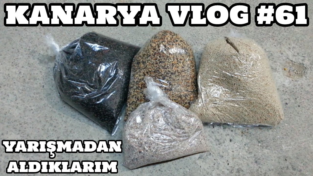 Kanarya Vlog #61 (Yarışmadan Aldıklarım)
