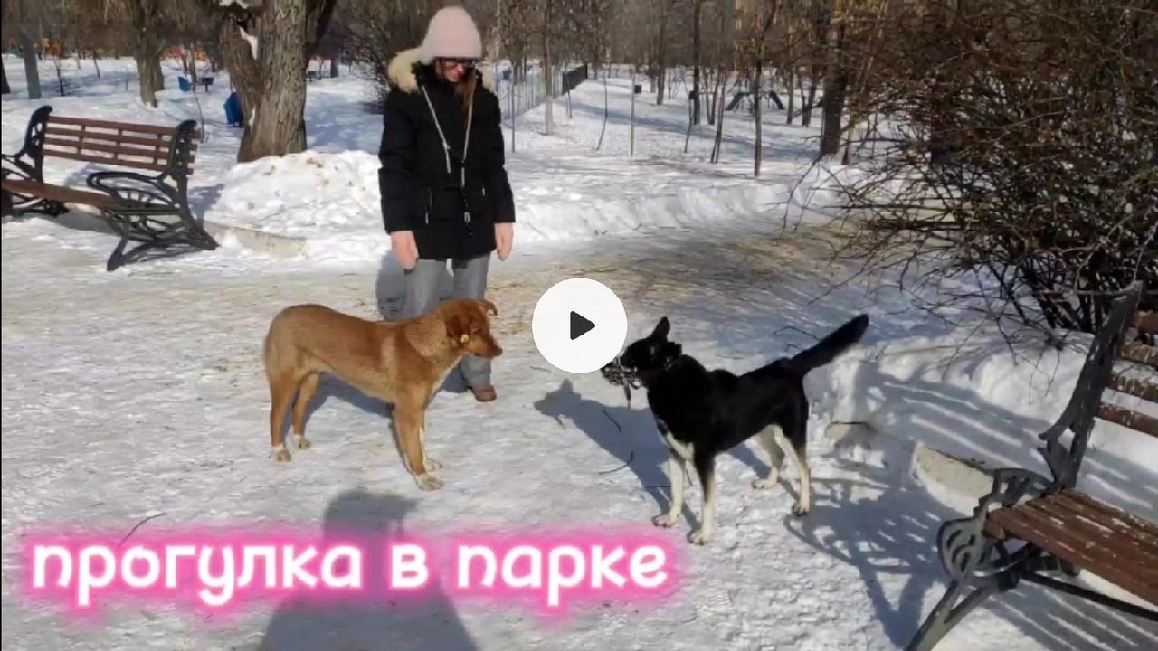 Один день из нашей жизни