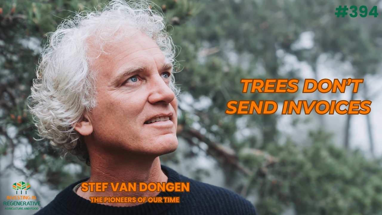 Stef van Dongen - Rewiring water, forests, and finance