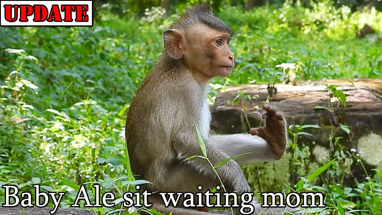 Deep desappoint mom Angel not recognize baby Ale! Poor baby Ale sit deep sad waiting mom Angel take