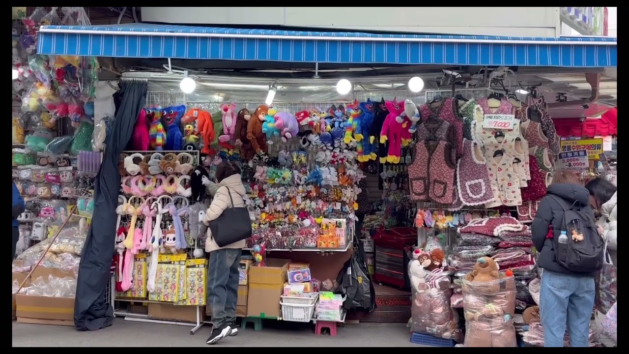 남대문 시장 Vlog (Seoul)