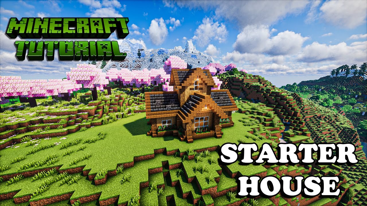 Minecraft: Starter House