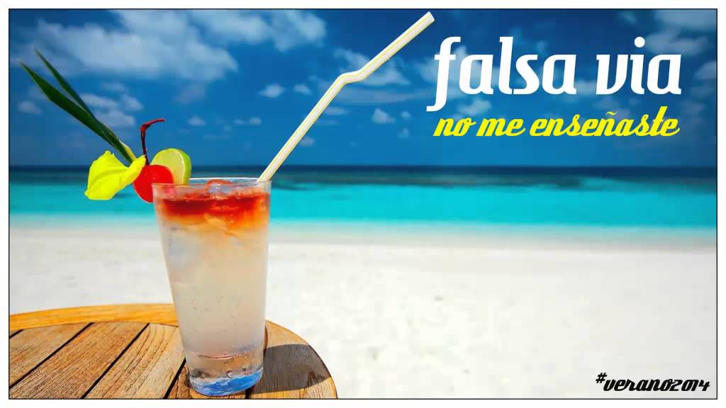 Falsa Via - No me enseñaste