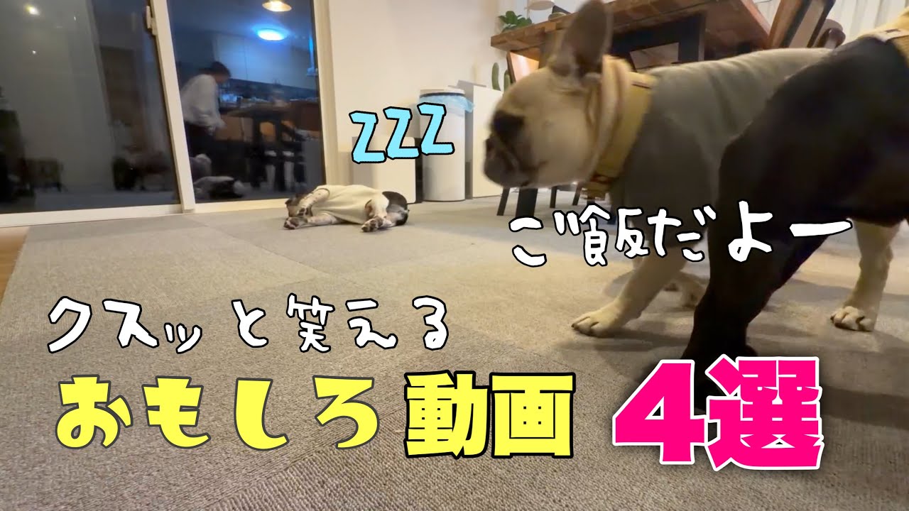 寒くても元気モリモリ7兄弟のおもしろ動画集めてみました！