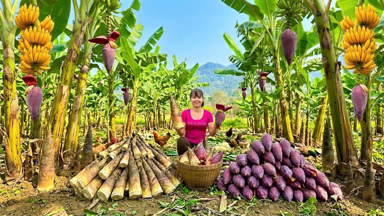 Rewind Timelapse -- Harvesting Huge Bamboo Shoots, Banana Flowers And Eggs